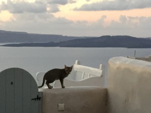 ギリシャハネムーン②〜サントリーニ島、ウェデングセレモニー他〜