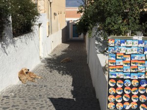 ギリシャハネムーン④〜サントリーニ島、フィラの街、海、ロバに乗る〜