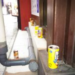 【２１１回】大阪梅田　東通り商店街の清掃ボランティア活動報告